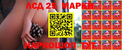 apvp Ивантеевка