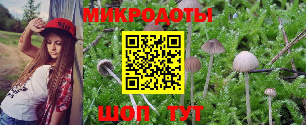 Псилоцибиновые грибы Psilocybe Верхний Уфалей